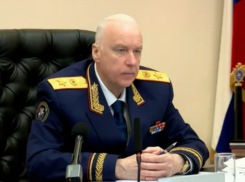 Бастрыкин поручил возбудить уголовное дело после нападения собаки на жительницу Азова