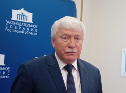 В Ростовской области предложили ускорить переход техники на газомоторное топливо