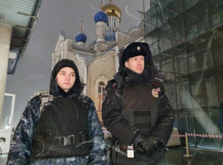 Жители Ростовской области не совершали серьезных правонарушений на Рождество