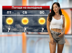 Аномальная жара до +38 градусов ожидается в Ростове-на-Дону на выходных 