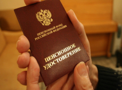 Облизбирком зарегистрировал в Ростове подгруппу по осуществлению референдума по пенсионному возрасту
