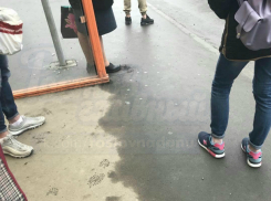 Молодые «высокие модники» на остановке вызвали горячие эмоции жителей Ростова