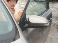 Ростовчанин из мести выложил фото автохамки в Интернет 