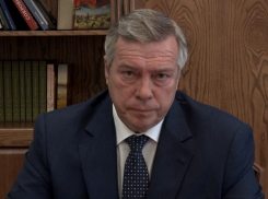 Жители Ростовской области поставили властям региона «твердую двойку»
