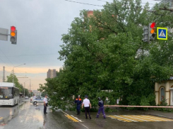 В Ворошиловском районе Ростова перекрыли движение из-за наклонившегося дерева