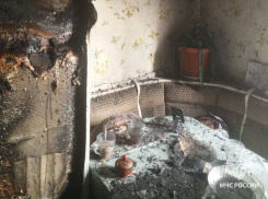 Женщина чудом спаслась на пожаре в Ростовской области 