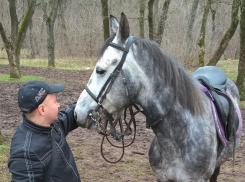 Ростовские власти отменят налоговые льготы для закрывающегося ипподрома