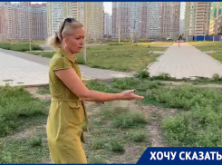 «Пыльца влетает в дом, дышать невозможно»: жители Ростова пожаловались на амброзию