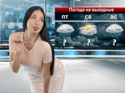 На выходных в Ростовскую область вернутся дожди