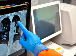 В трех районах Ростовской области не выявили новых случаев коронавируса