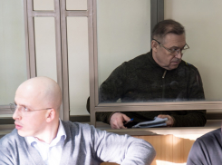 Виктор Гончаров в суде утверждал, что не мошенничал, а законно спасал предприятие по производству птицы