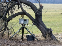 Прикованный цепями к дереву «секретный» радар сняли на фото ростовские автомобилисты