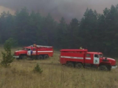 На севере Ростовской области сгорело около 42 гектаров леса