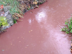 Превратившийся в «вино» Безымянный ручей совсем не обрадовал местных жителей в Ростове	