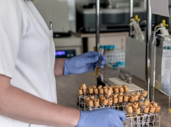 Власти рассказали, из каких городов в Ростовской области новые заболевшие коронавирусом