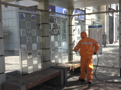 Власти Ростовской области рассказали, где выявлены новые случаи заболевания коронавирусом