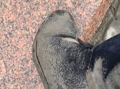 Обматываться клеенкой в дороге советуют пассажирам маршруток в Ростове