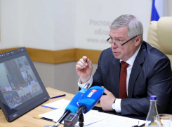 Василий Голубев рассказал о смягчении ограничений в Ростовской области