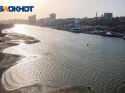 Депутаты Ростовской области хотят ввести плату за ущерб Дону для судовладельцев 