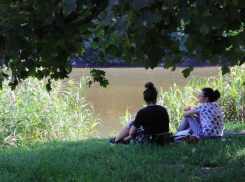 Парк имени Октября в Ростове присоединят к зоопарку
