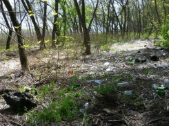 Кошмарное «свинство» в Кумженской роще Ростова вызвало бурное возмущение горожан