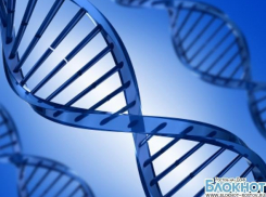 В колониях Ростовской области собирают образцы ДНК осужденных