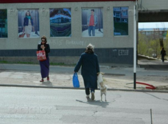 Сбившие пенсионерку на зебре в Ростове мужчина со спутницей усадили жертву и уехали