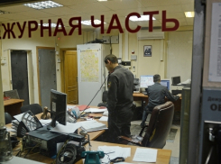 В городском парке Батайска поймали двоих нудистов 