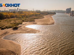 В Багаевском районе произошло экстремальное снижение уровня воды в реке Маныч