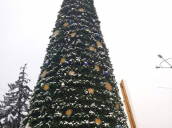 Главную ростовскую елку начали демонтировать