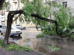 Обрушившийся на Ростов сильный ливень вновь затопил улицы города