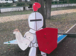 В Ростове-на-Дону выясняют, почему в парке 8 Марта приняли недоделанную детскую площадку