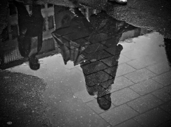 В Ростове-на-Дону ожидается дождь и заморозки