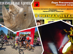 Кормим белых носорогов, идем в цирк и смотрим за велопробегом: куда пойти в Ростове на этой неделе