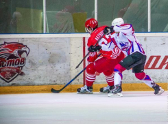 Кулачная драка на хоккейном матче «Ростов» - «Алтай» попала на видео