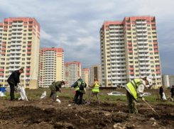 В Ростове в микрорайоне Суворовском завершена высадка парка в честь 70-летия Победы 
