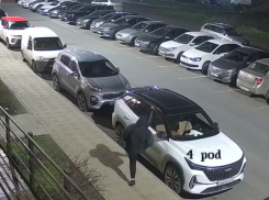 Леди в капюшоне устроила показательную казнь боковым зеркалам машин в Суворовском