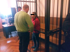Подозреваемая в жестоком убийстве известного питерского художника девушка из Ростова пойдет под суд
