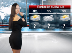 В Ростове ожидается резкое повышение температуры до +8 °С