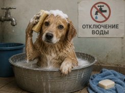 В центре Ростова на две недели отключат горячую воду сотням жителей