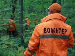 В Ростовской области каждый год без вести пропадают около 200 человек 