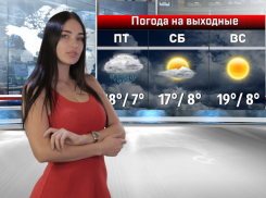 Дождь не может длиться вечно: прогноз погоды в Ростове на 11 октября