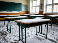 Школы Ростова 9 февраля будут работать в режиме свободного посещения