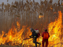 Масштабный пожар на окраине Ростова тушили без перерыва в течение пяти часов 