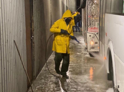 Проверка не выявила нарушений при дезинфекции транспорта в Ростове