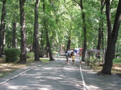 В Ростове поймали извращенца, орудовавшего в роще на Можайской 