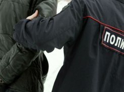 Буйный пассажир электрички избил сотрудника полиции в Ростовской области