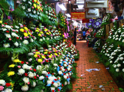 «Опасные» цветы продавали на цветочном рынке в Ростове
