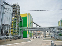 На Дону в Зверево построят маслозавод за 3,7 млрд рублей