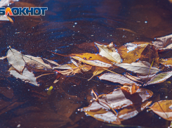 Дождь снова вернется в Ростов в середине недели